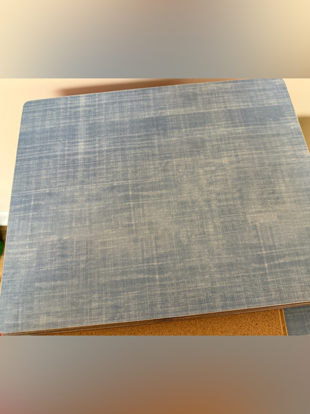 New Pottery Barn Chambray Blue Hard Mats Set Of Four